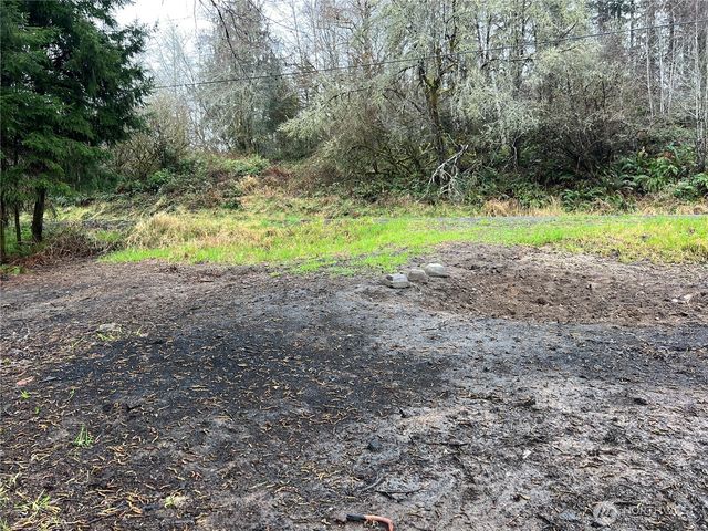 0 X Willapa Road, Raymond, WA 98577