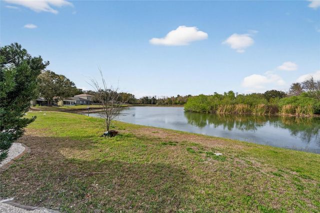 1112 LAKE SHORE RANCH DRIVE, Seffner, FL 33584