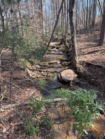 0 Timberline Trail, Talking Rock, GA 30175