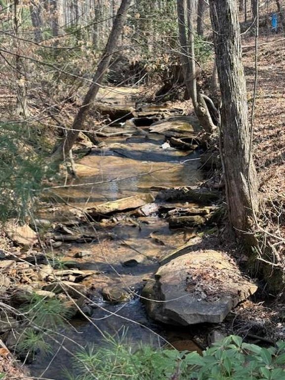 0 Timberline Trail, Talking Rock, GA 30175