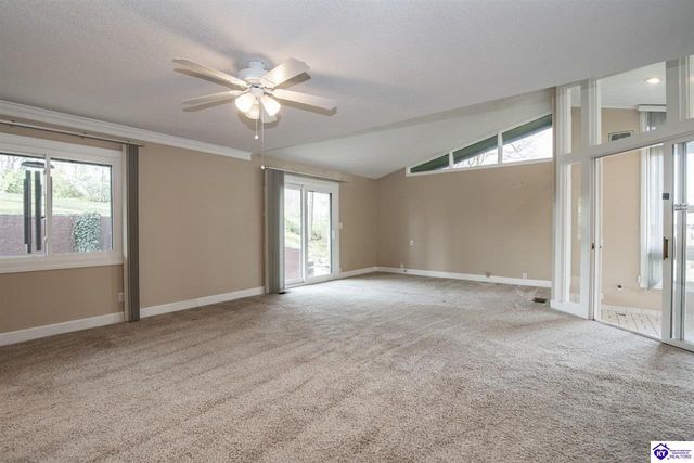 812 Burgundy Court, Elizabethtown, KY 42701