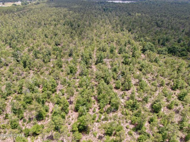 2447 Greenhead Road, Chipley, FL 32428