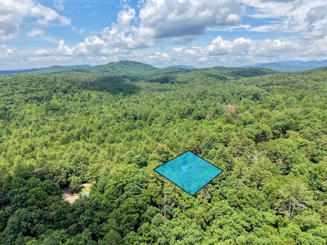 139 Dowd Road, Morganton, GA 30560