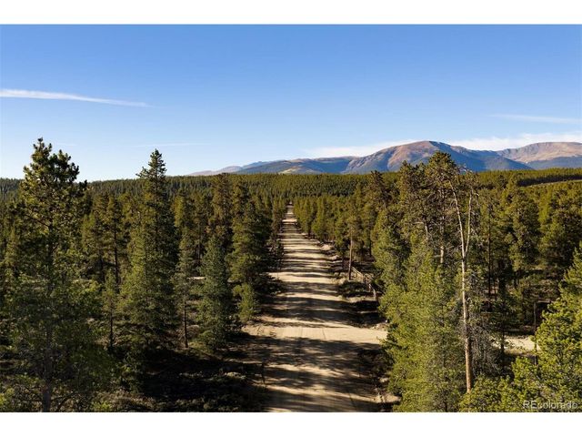 454 Spruce Dr, Leadville, CO 80461