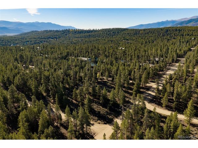 454 Spruce Dr, Leadville, CO 80461