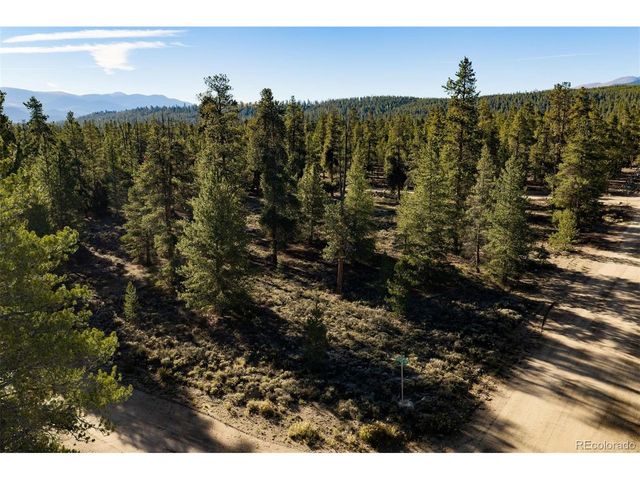 454 Spruce Dr, Leadville, CO 80461