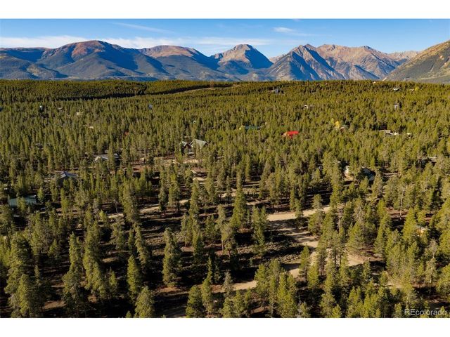 454 Spruce Dr, Leadville, CO 80461