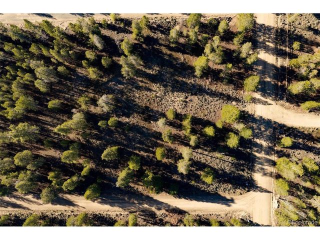 454 Spruce Dr, Leadville, CO 80461