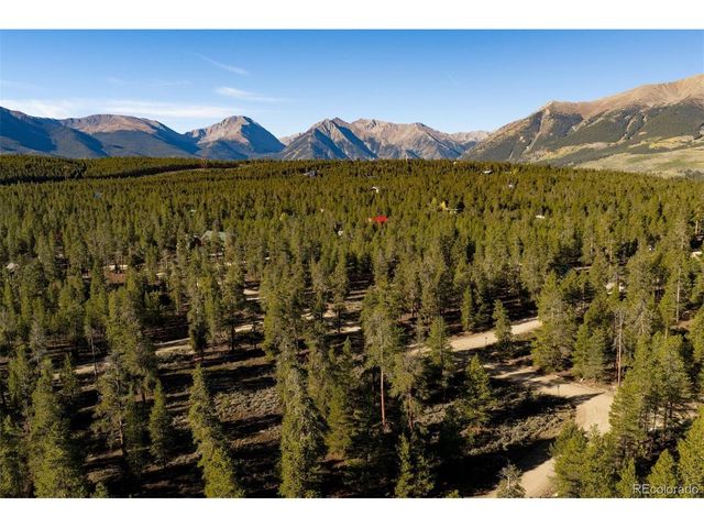454 Spruce Dr, Leadville, CO 80461
