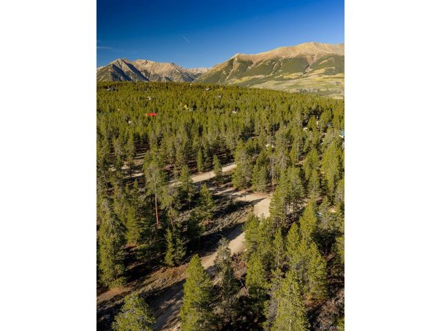 454 Spruce Dr, Leadville, CO 80461