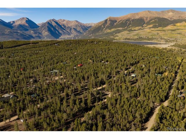 454 Spruce Dr, Leadville, CO 80461