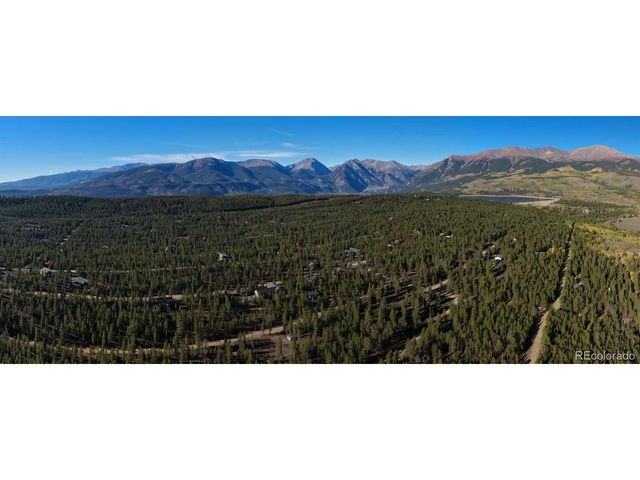 454 Spruce Dr, Leadville, CO 80461
