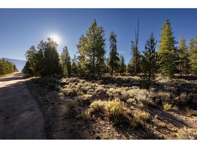 454 Spruce Dr, Leadville, CO 80461