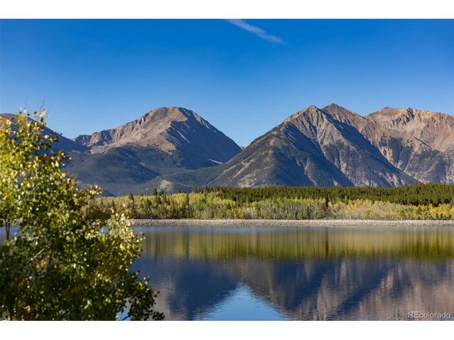 454 Spruce Dr, Leadville, CO 80461