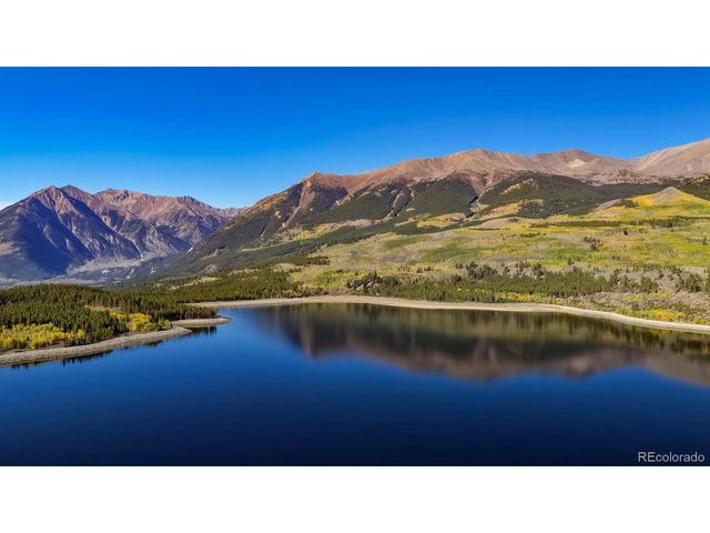 454 Spruce Dr, Leadville, CO 80461