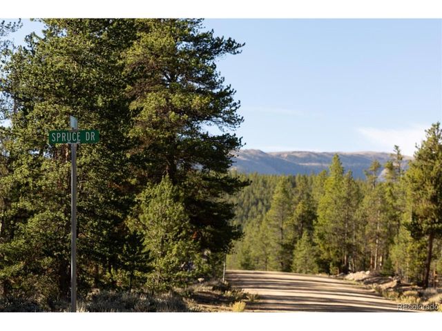 454 Spruce Dr, Leadville, CO 80461