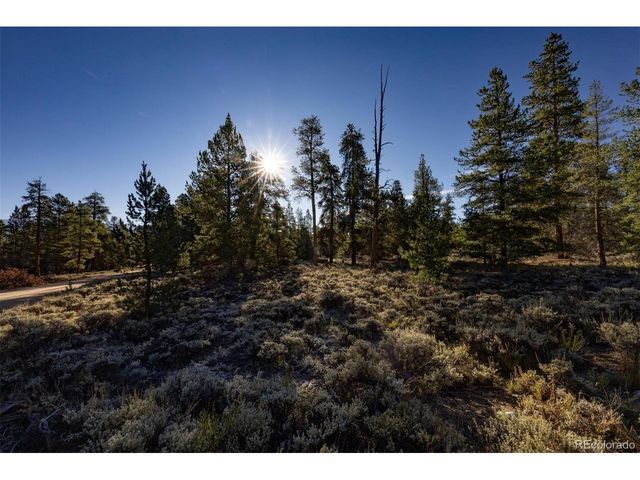 454 Spruce Dr, Leadville, CO 80461