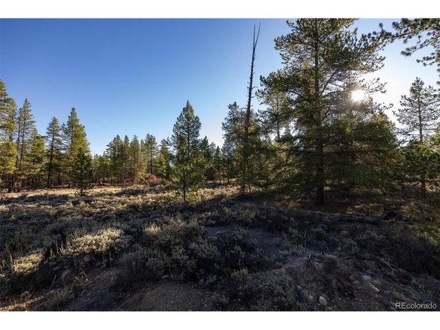 454 Spruce Dr, Leadville, CO 80461