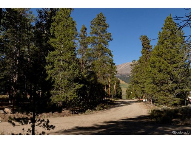 454 Spruce Dr, Leadville, CO 80461