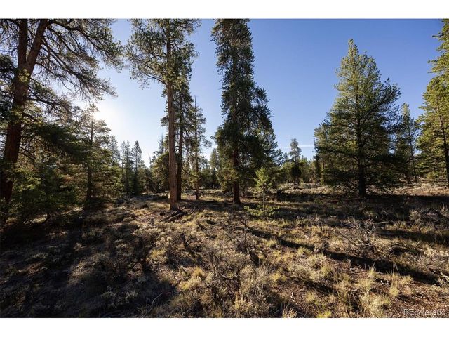 454 Spruce Dr, Leadville, CO 80461