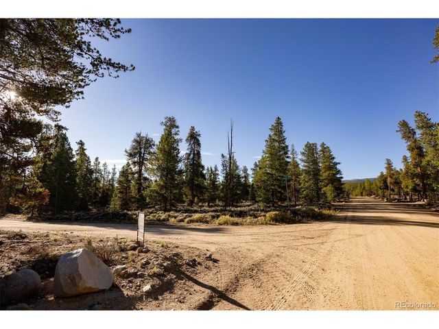 454 Spruce Dr, Leadville, CO 80461