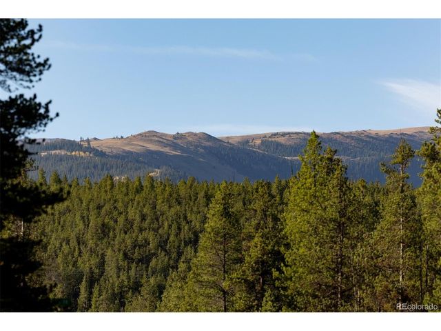 454 Spruce Dr, Leadville, CO 80461