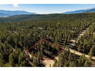 454 Spruce Dr, Leadville, CO 80461
