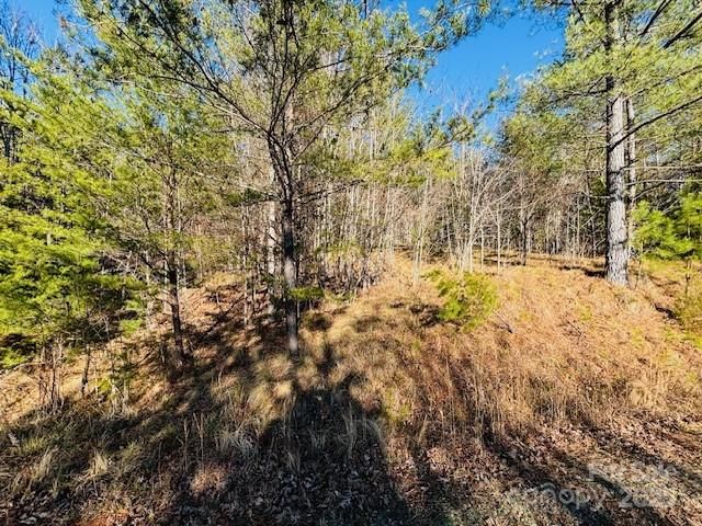 0 Cross Creek Drive 68, Rutherfordton, NC 28139