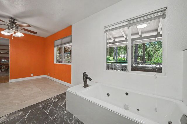 23512 Robin Rd, Pioneer, CA 95666
