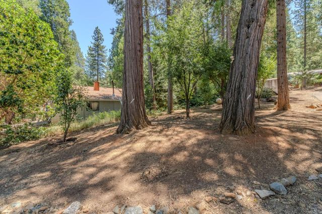 23512 Robin Rd, Pioneer, CA 95666