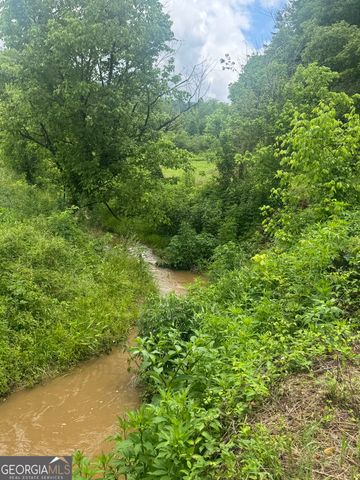 0 Tails Creek Road, Ellijay, GA 30540