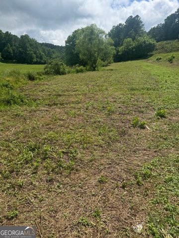 0 Tails Creek Road, Ellijay, GA 30540