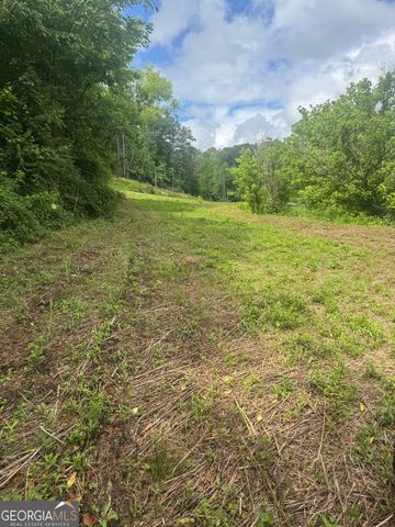 0 Tails Creek Road, Ellijay, GA 30540