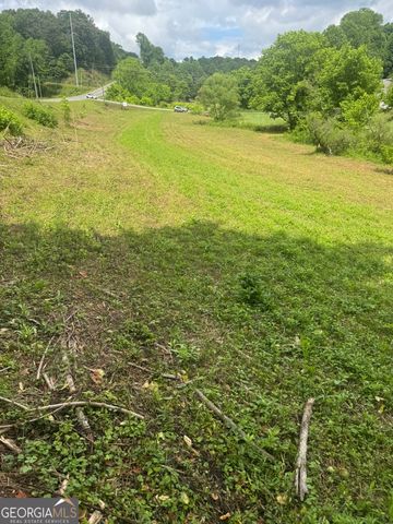 0 Tails Creek Road, Ellijay, GA 30540