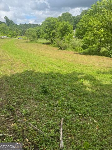 0 Tails Creek Road, Ellijay, GA 30540