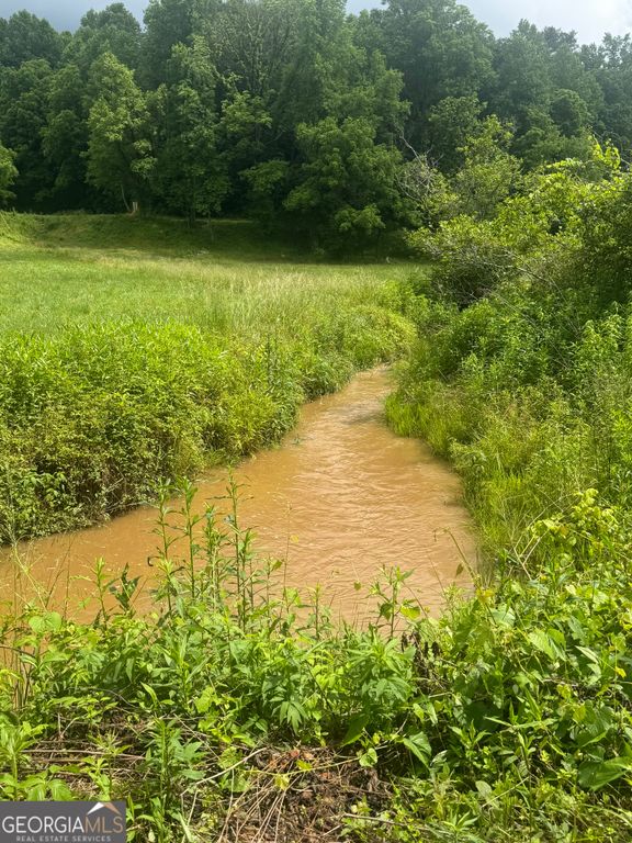 0 Tails Creek Road, Ellijay, GA 30540