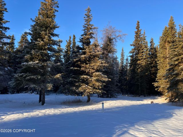 15690 Wild Salmon Way, Ninilchik, AK 99639