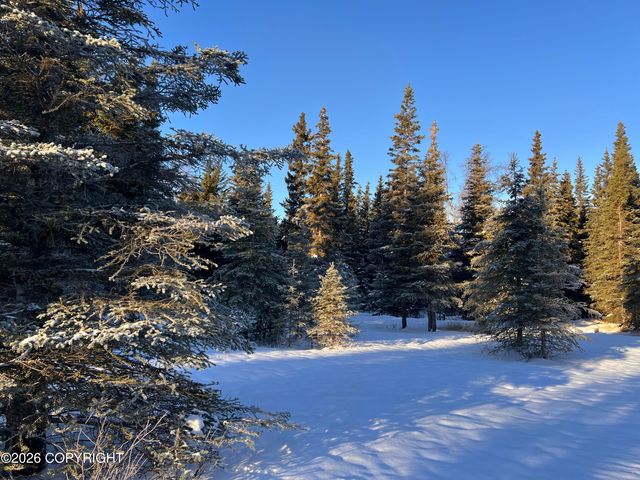 15690 Wild Salmon Way, Ninilchik, AK 99639