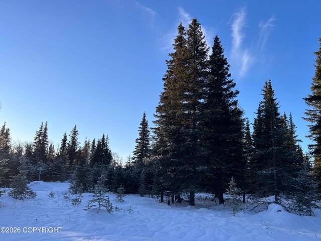 15690 Wild Salmon Way, Ninilchik, AK 99639