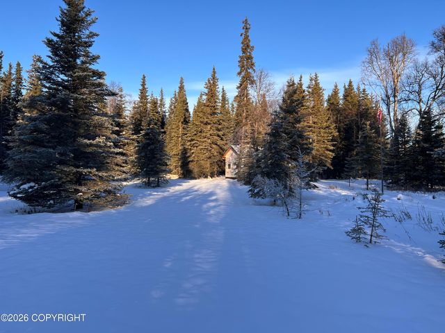 15690 Wild Salmon Way, Ninilchik, AK 99639