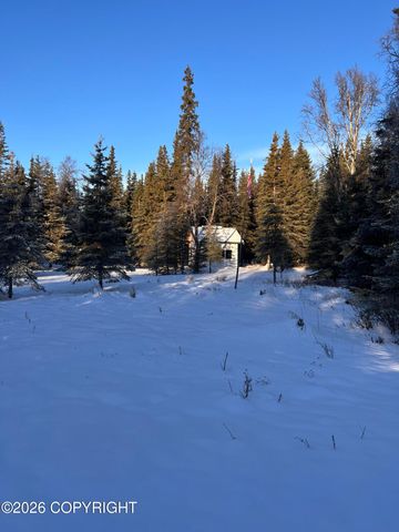 15690 Wild Salmon Way, Ninilchik, AK 99639