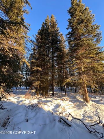 15690 Wild Salmon Way, Ninilchik, AK 99639