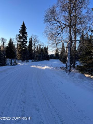 15690 Wild Salmon Way, Ninilchik, AK 99639