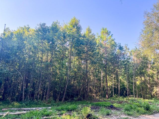 0 Off Hardy Bottom Rd, New Waverly, TX 77358