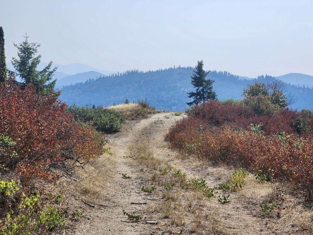 1700 Hershaw Rd, Newport, WA 99156 photo 2