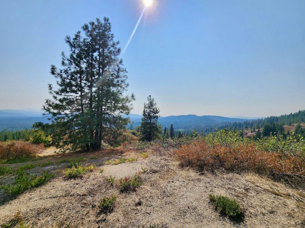 1700 Hershaw Rd, Newport, WA 99156 photo 3