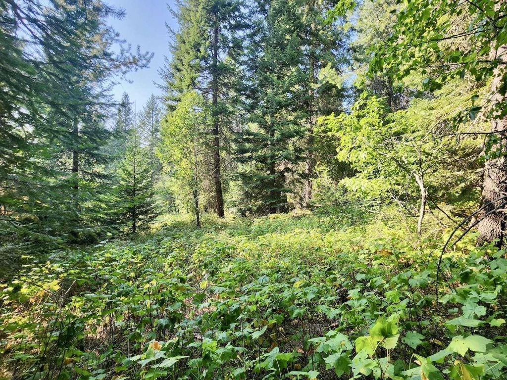 1700 Hershaw Rd, Newport, WA 99156 photo 21