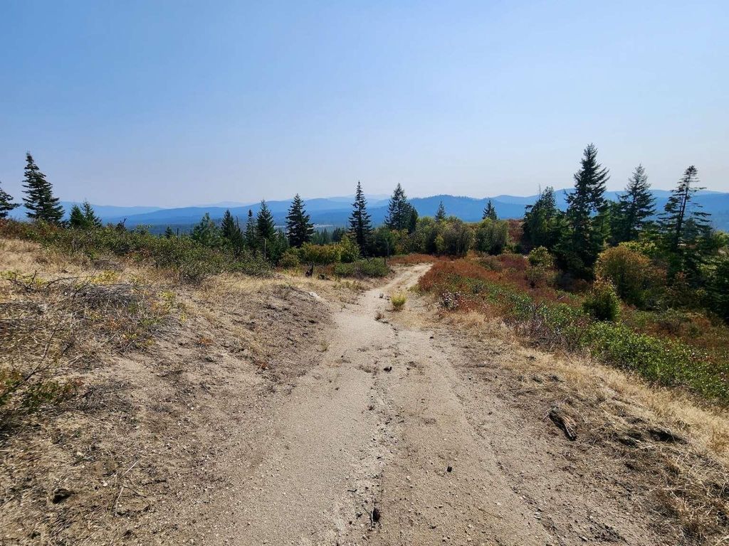 1700 Hershaw Rd, Newport, WA 99156 photo 22