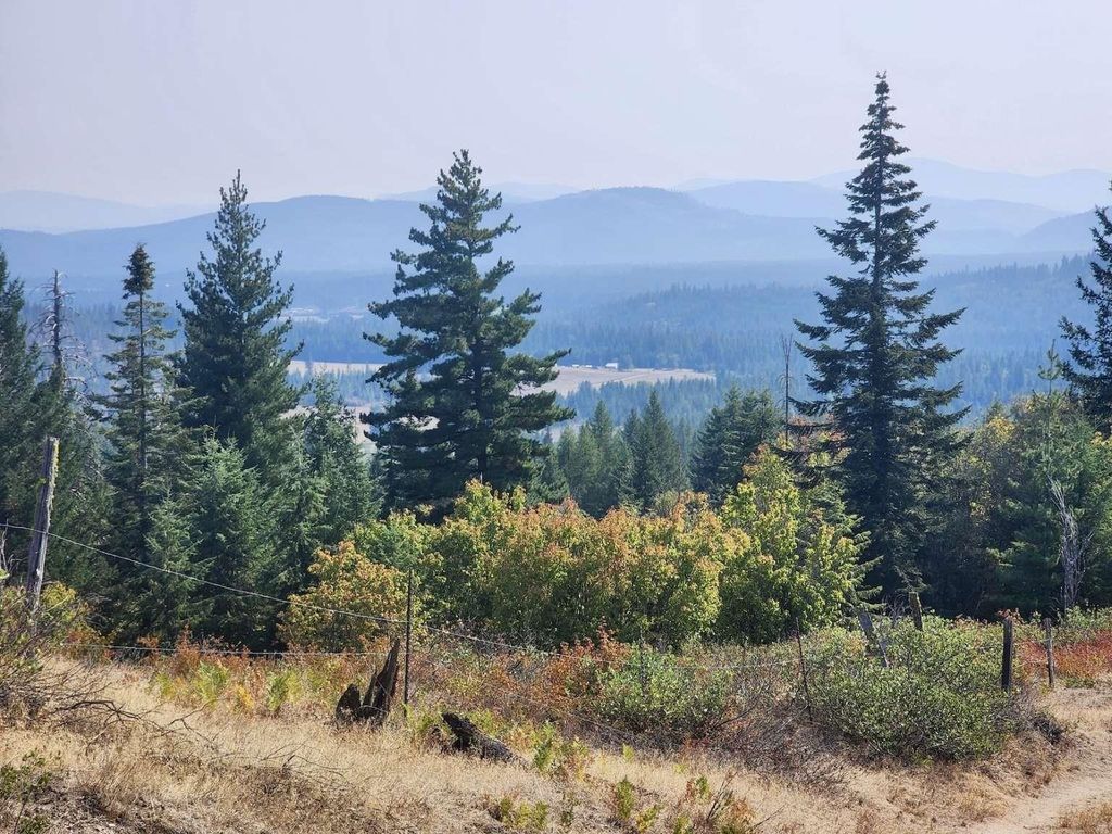 1700 Hershaw Rd, Newport, WA 99156 photo 23