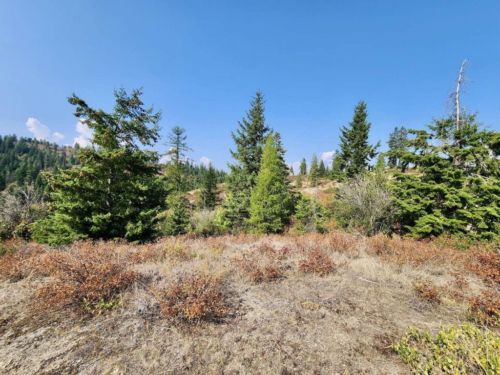 1700 Hershaw Rd, Newport, WA 99156 photo 28